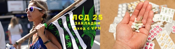 экстази Арсеньев