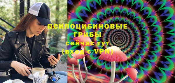 экстази Арсеньев